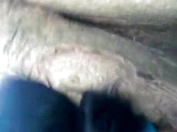 1335 film sexy engele bengali