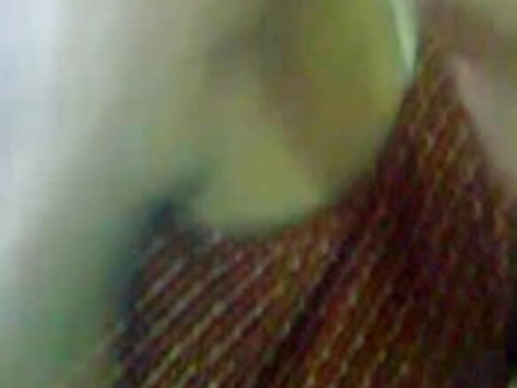 jommbaajo ko adii ittude gaasa hindi pussy film sexy sexy chudai audio hindi