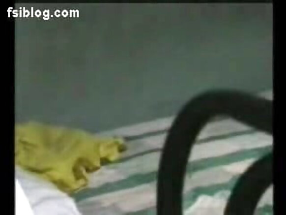 Indiya Indiya Indiya Sexy Durious Novio Film