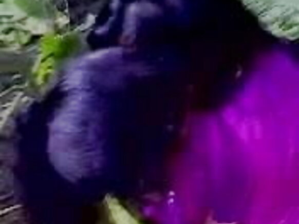 amateur indian ɓiɓɓe rewɓe amateur kissing hindi film sexy timmuɗo hd