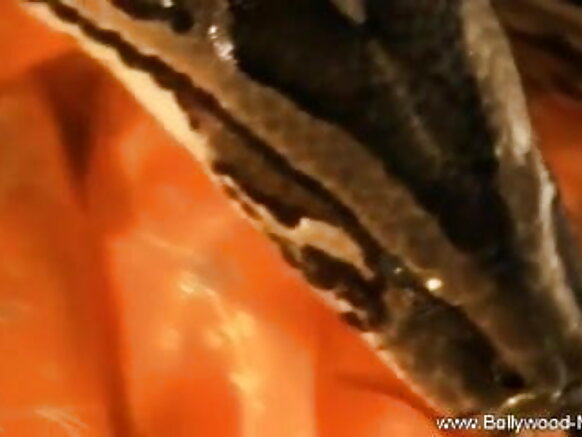 Bharat mboddi bhojpuri film sex video hottie e jimoowo mo alaa ɗo haaɗi