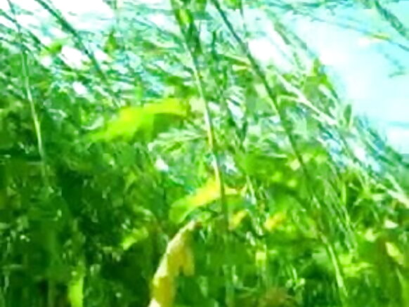 engele ladde toɗɗagol sexy video selva film