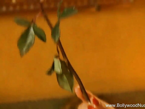 Giɗo indiyankeejo wayliima tan e nder video blue engele