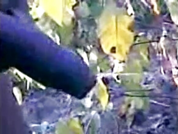 telugu randi hindi film sexy timmuɗo selva telugu sex sex