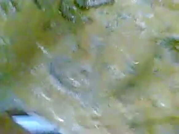 Indian Bojel Keso Sexy Bojel Ɓoornugol E Kaawniiɗe HD