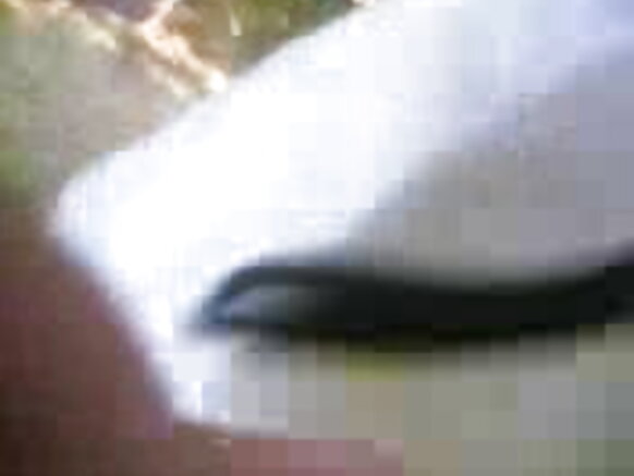 sexy mobile sex blue film punjabi yaasi